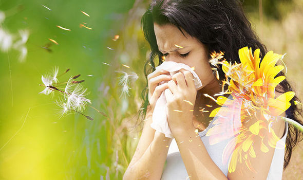 Image result for hay fever